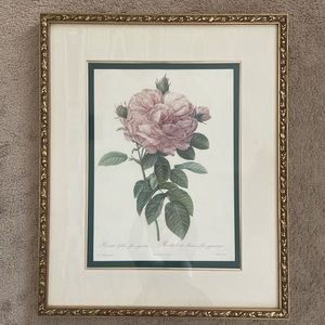The Bombay Prívate Collection “The Rose” by Pierre-Joseph Redouté (1759-1840)